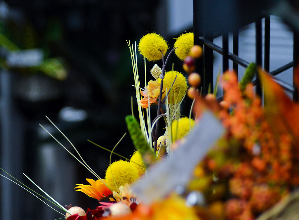 Colorful plants and flowers are displayed